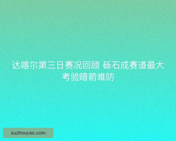 达喀尔第三日赛况回顾 砾石成赛道最大考验暗箭难防